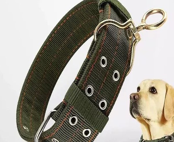 Adjustable dog harness and collar
