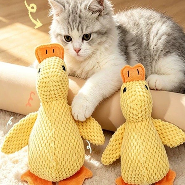 Plush pet toys